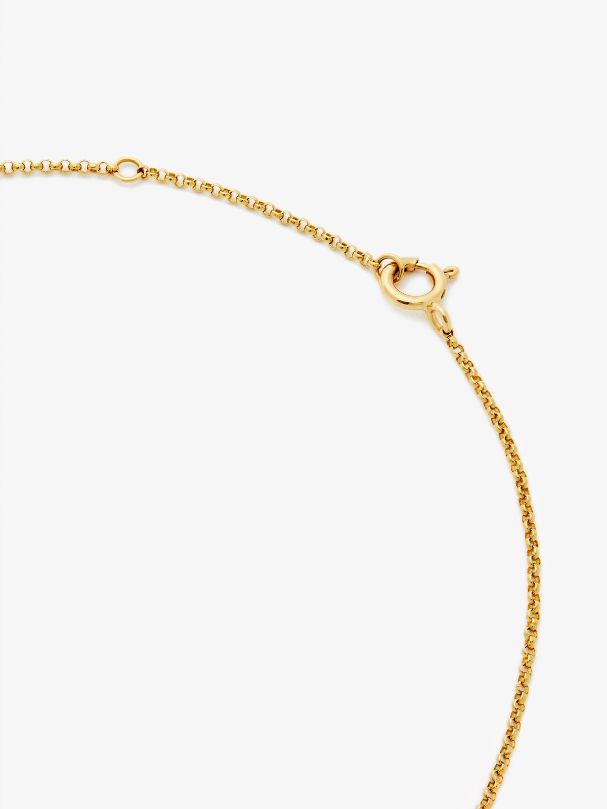 Colgante de oro amarillo de 18K con 29 diamantes en talla brillante con un total de 0,25 cts y forma de tigre