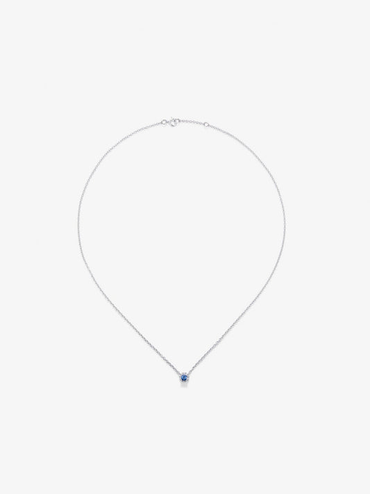 Colgante de oro blanco de 18K con zafiro azul en talla brillante de 0,23 cts y orla de 10 diamantes en talla brillante con un total de 0,07 cts