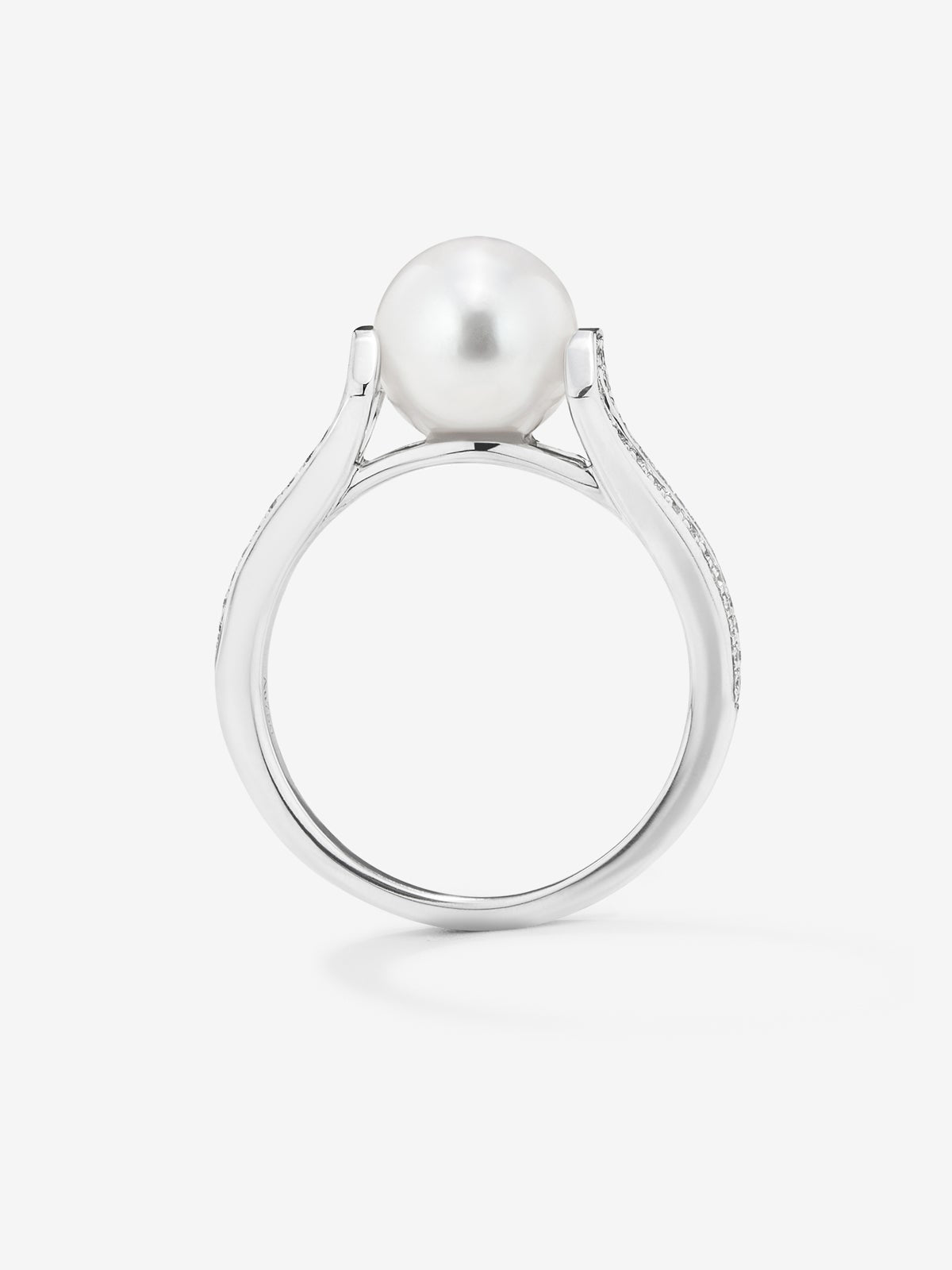 Anillo de oro blanco de 18K con perla akoya de 8mm y 60 diamantes en talla brillante con un total de 0,23 cts