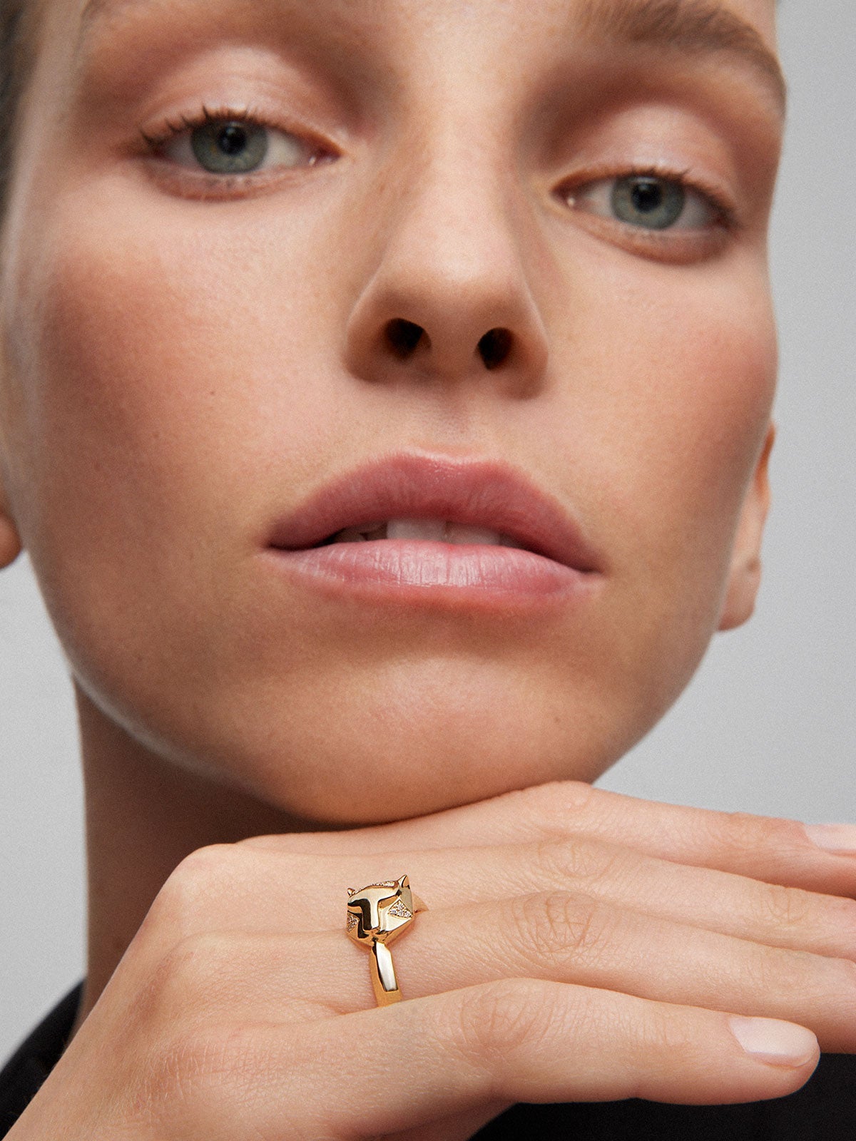Anillo de oro amarillo de 18K con 26 diamantes en talla brillante con un total de 0,08 cts y forma de tigre