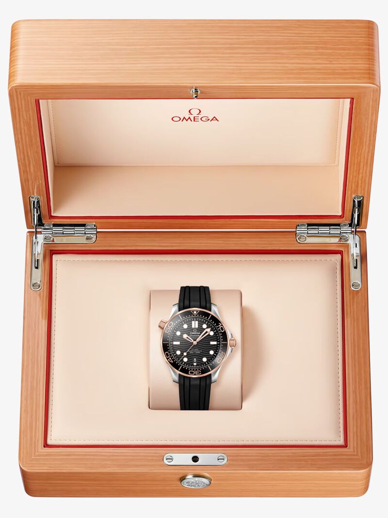 Omega SEAMASTER DIVER 300M 42 mm image number 6