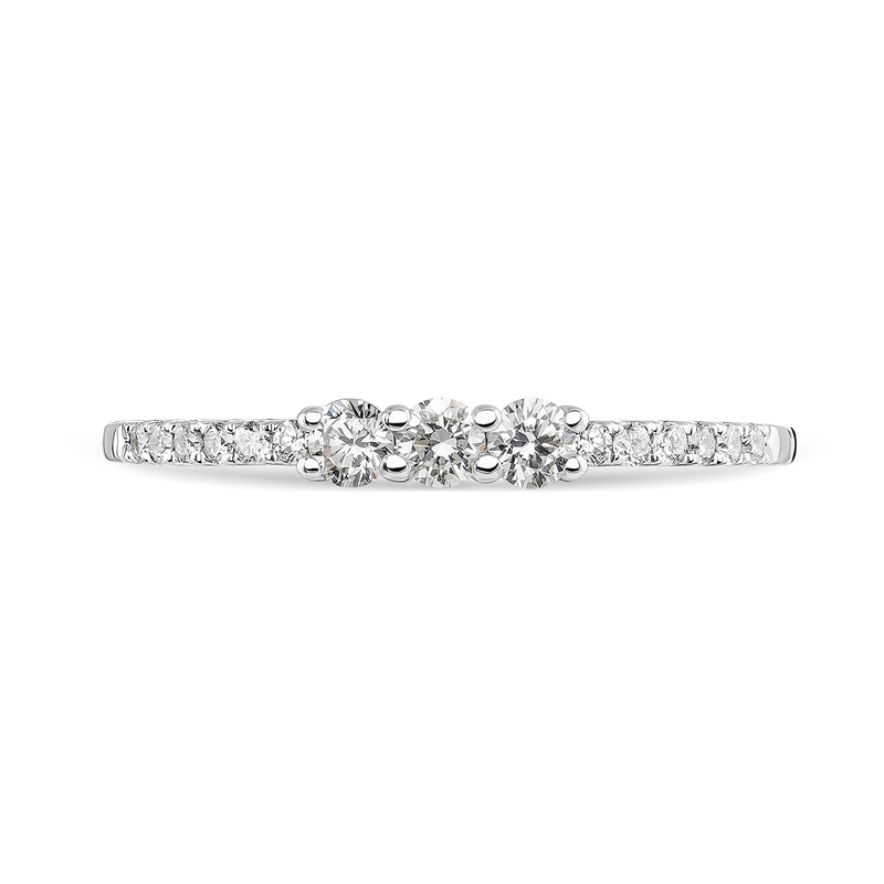 Anillo de Grace, SO18091-OBD_V