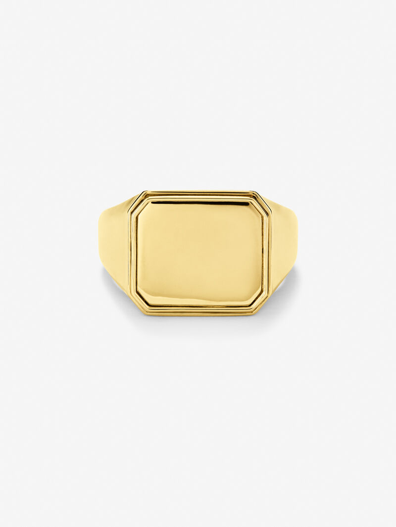 18K Yellow Gold Large Signet Ring image number 2