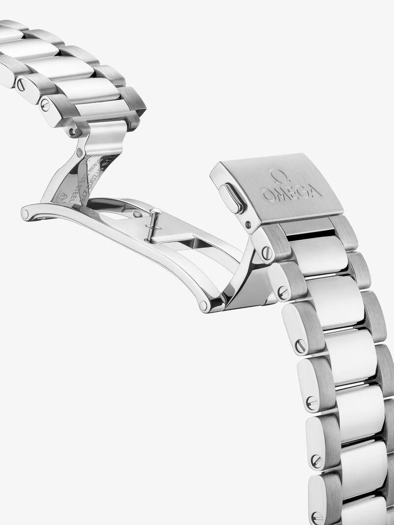 Omega SEAMASTER AQUA TERRA 150M 41 mm image number 4