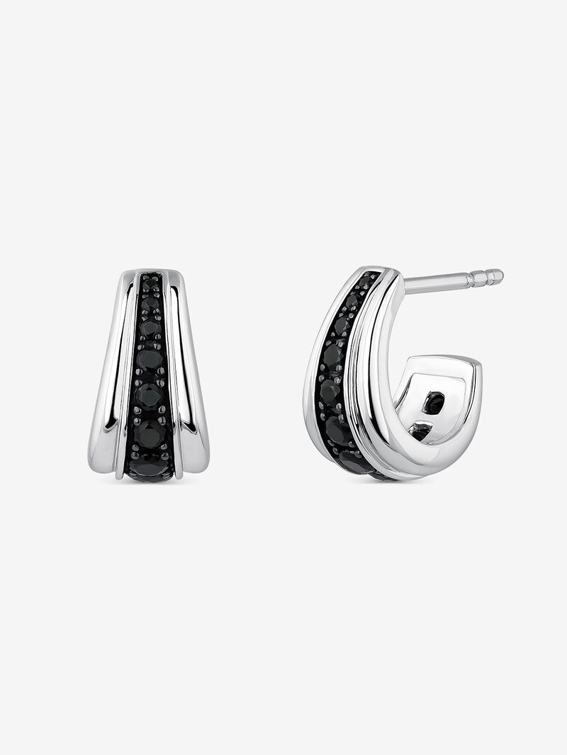 Silver earrings with black spiners image number 0