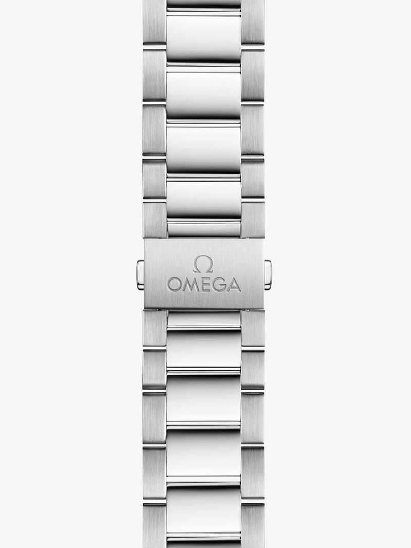 Omega SEAMASTER AQUA TERRA 150M 41 mm image number 3