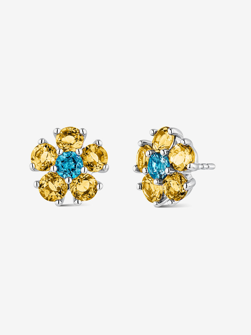 Silver earrings with blue and citrin tubes image number 0