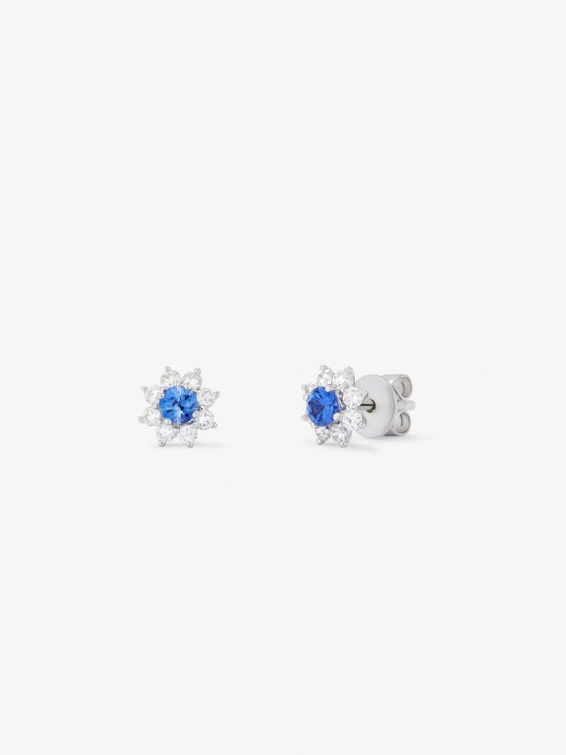18k White Gold Flower with Sapphiro and Diamond image number 0
