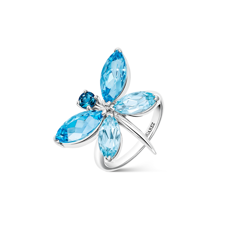 Ring El Jardín de las Delicias, SO19175-AGTPLSWSKY_V