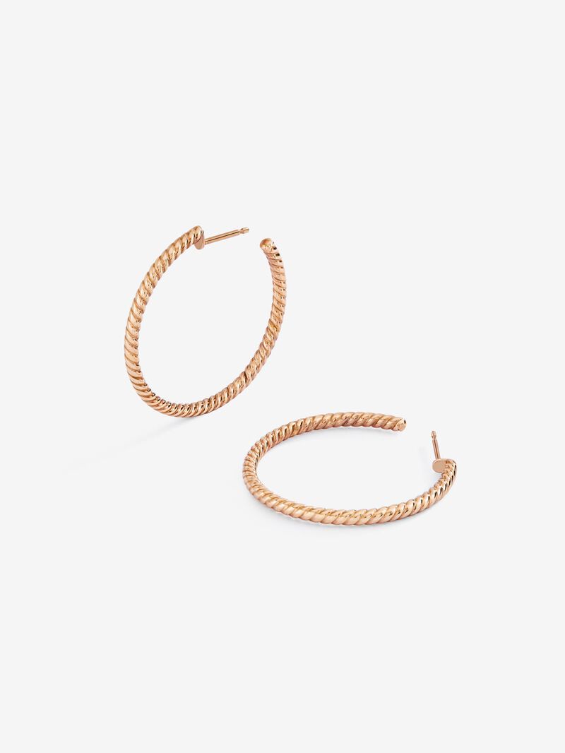 Distant Heels Rose Gold Earrings image number 2